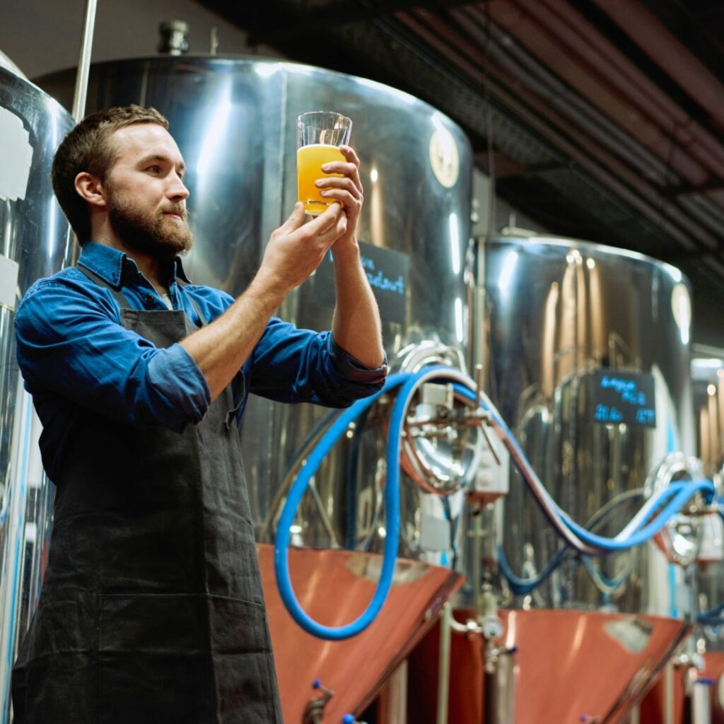 Man checking the quality of the beer in a brewery factory